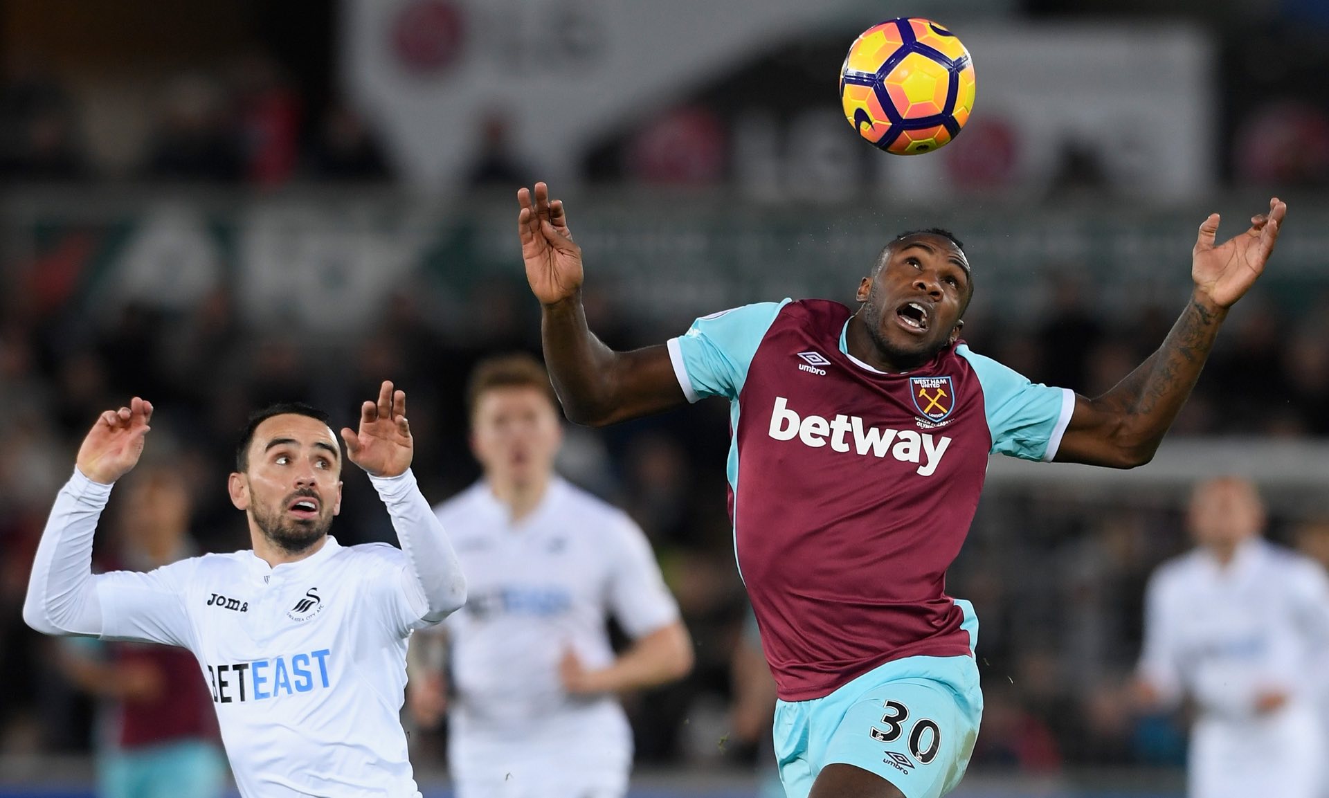 到了个体的 到了个体的